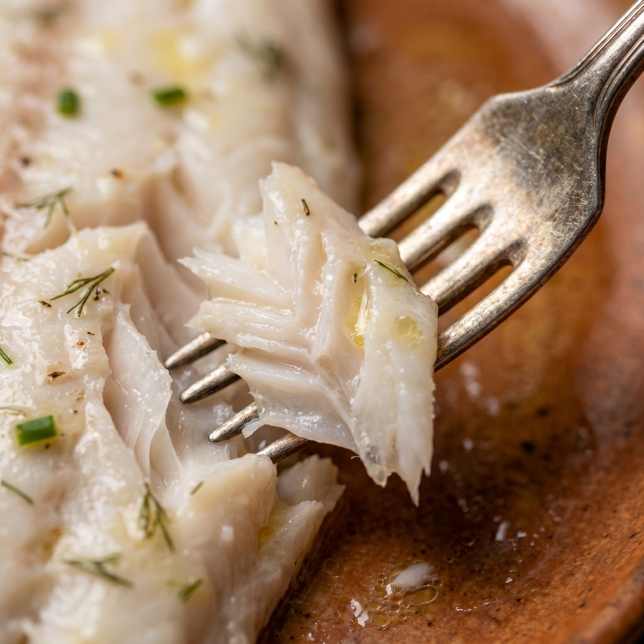 【Banquet Centerpiece】Wild Coral Trout (Grouper) - Delicate Snow-White Flakes